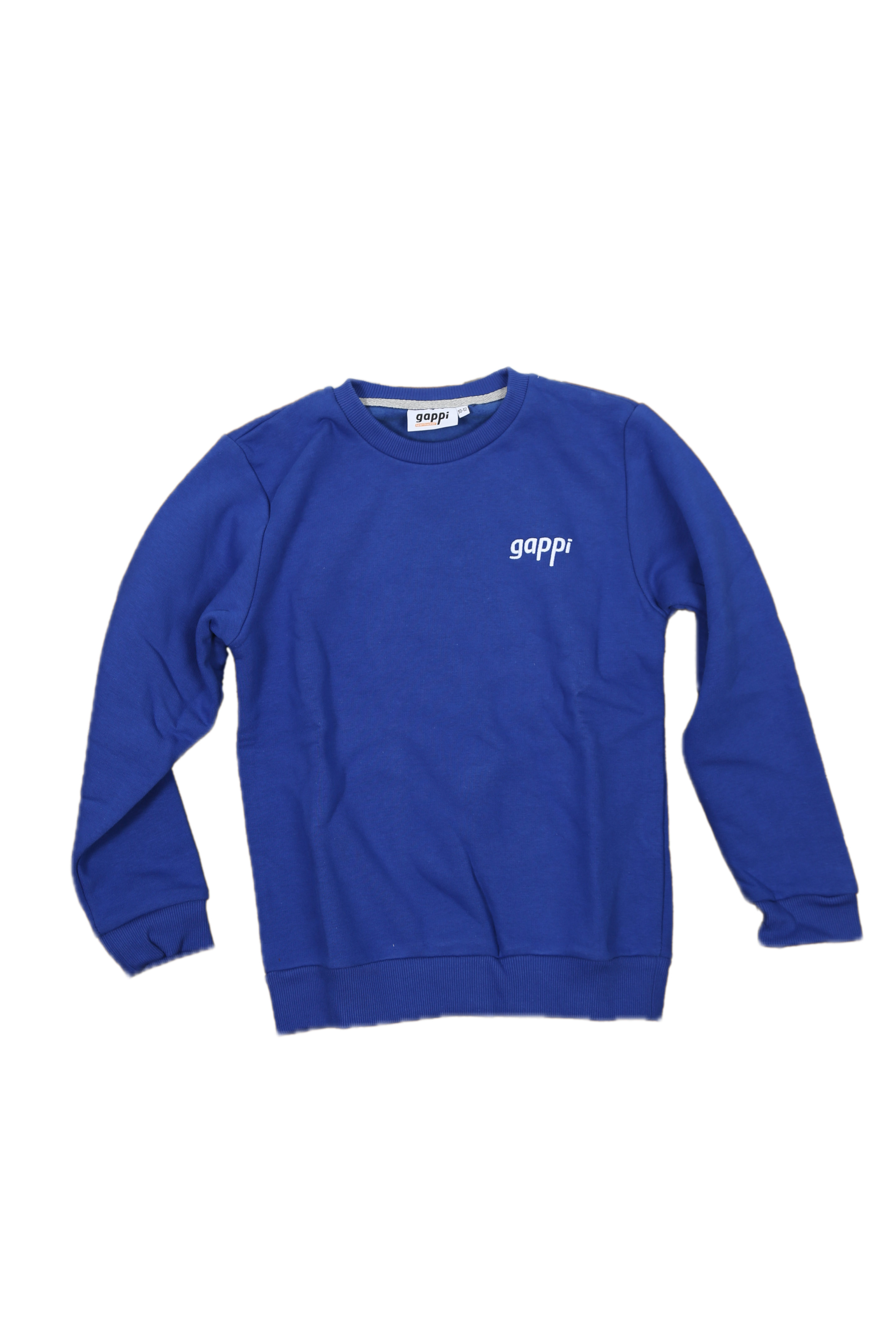 Gappi Mavi Sweatshirt